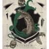 Harry Potter Kunstdruck Slytherin 36 x 28 cm