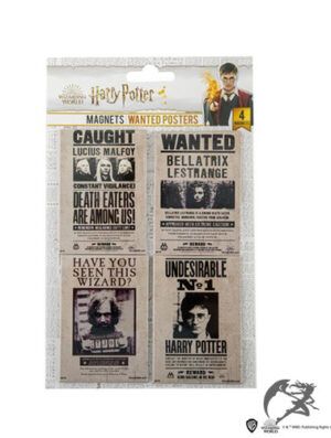 Harry Potter Magnet Wanted Poster