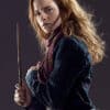 Zauberstab Hermione Granger