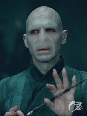 Zauberstab Lord Voldemort Charakter Edition